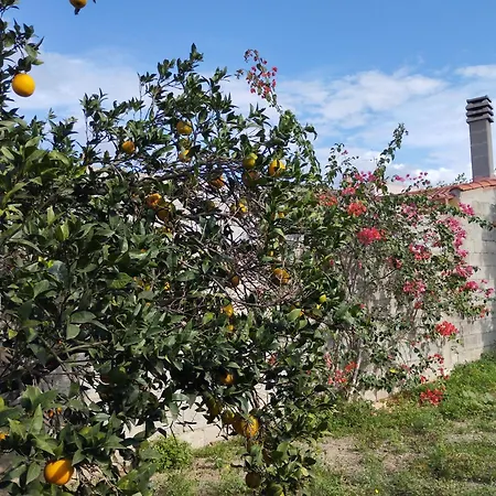 Giuly's House Casa vacanze