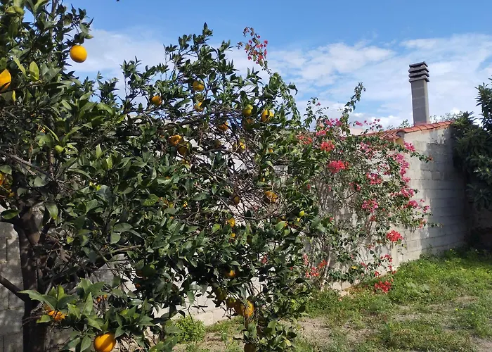 Giuly's House Casa vacanze