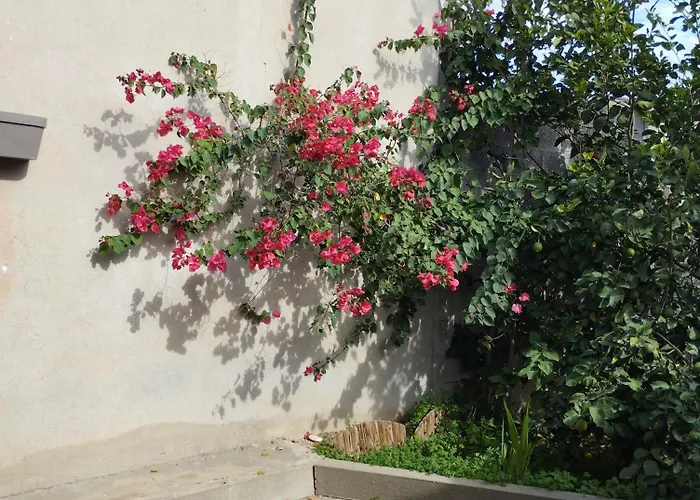 Giuly's House Càbras